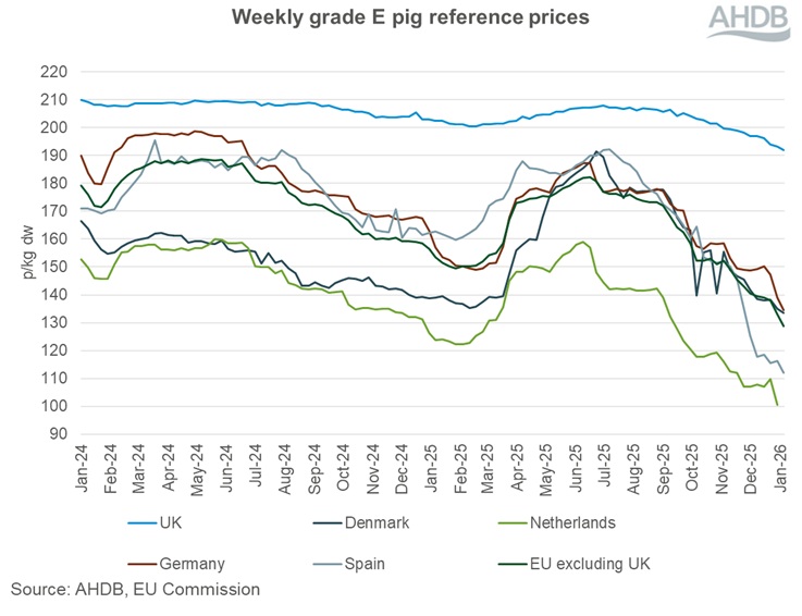 Graph showing EU grade E pig prices 18 January 2026.